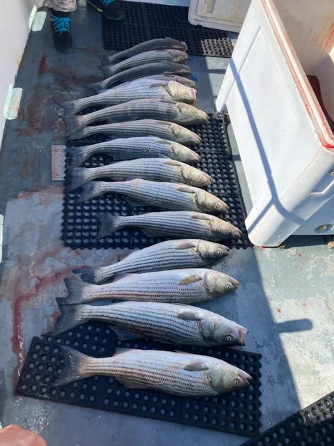 Last Lady Fishing Charters