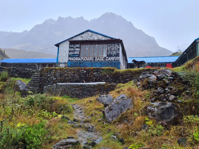 Machhapuchhare Base Camp