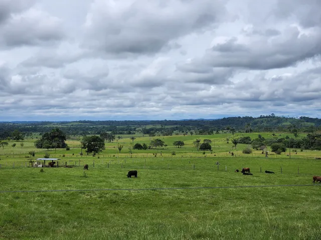 Parque Nacional Natural Tinigua