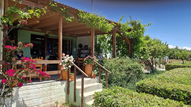 Zorbas Rooms / Taverna