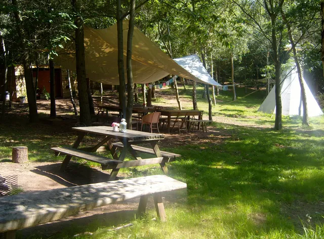 Woodland Tipi & Yurt Holidays