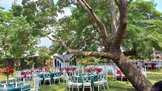 T-HAVANA PARKS RESTAURANT