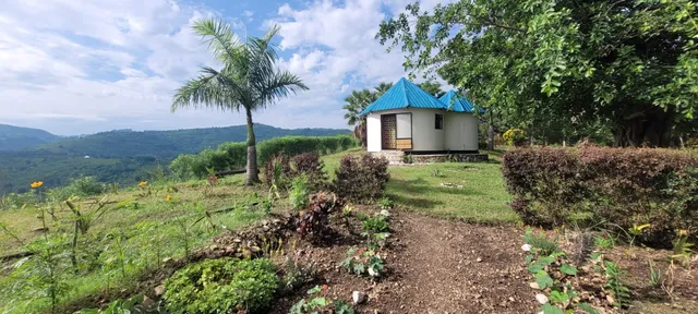 Queen Elizabeth Gorge Cottages