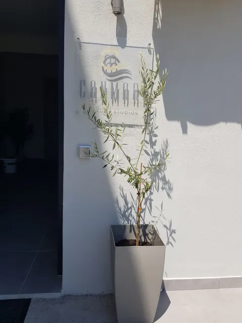 CONMARI LUXURY STUDIOS