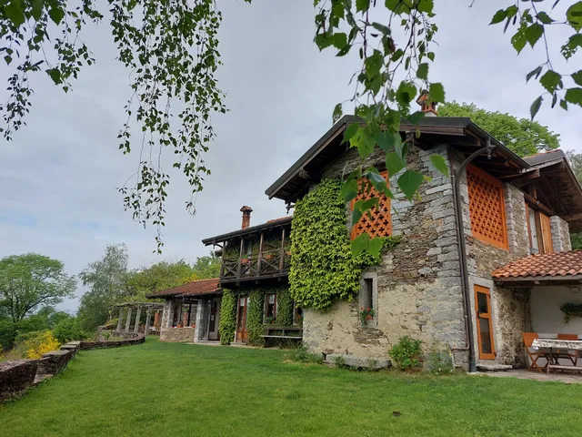 Il Ciliegio Selvatico