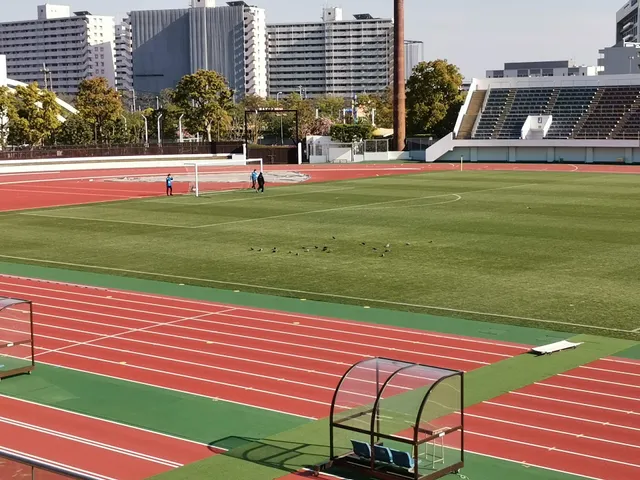 Spears Edoriku Field