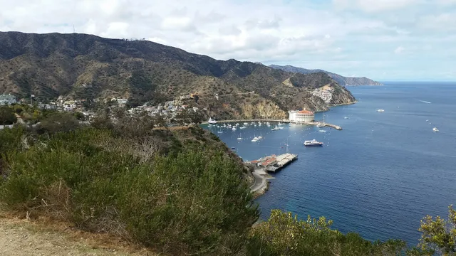 Wrigley Stage Avalon Bay Vista