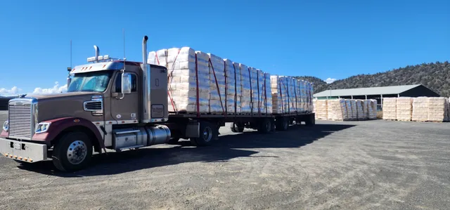 Dorris Lumber & Moulding