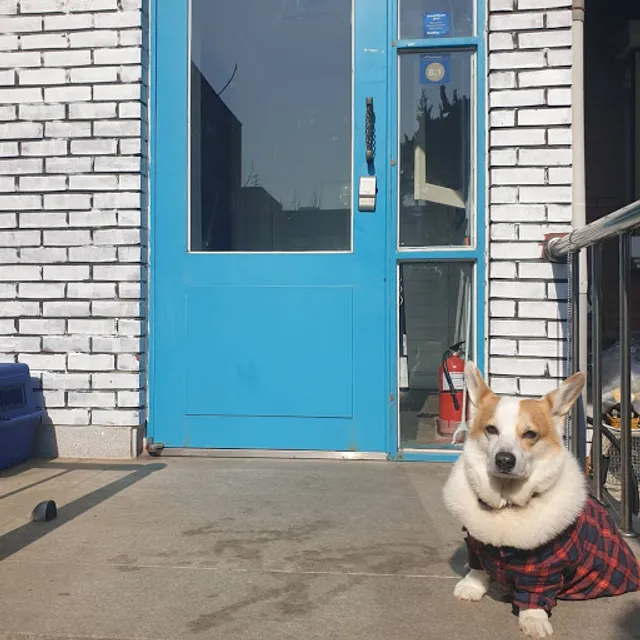 24guesthouse gangnam center