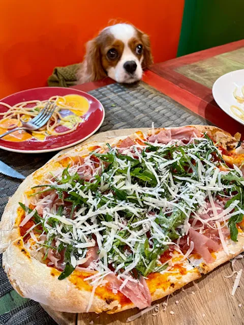 Allegria Bistro Chiangmai