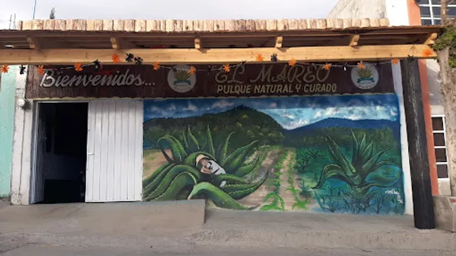 Pulques El Mareo