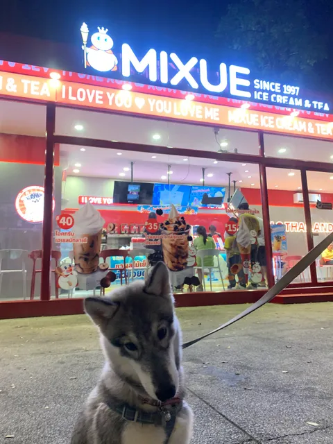 Undertree Cafe ( อันเดอะทรี คาเฟ่ )