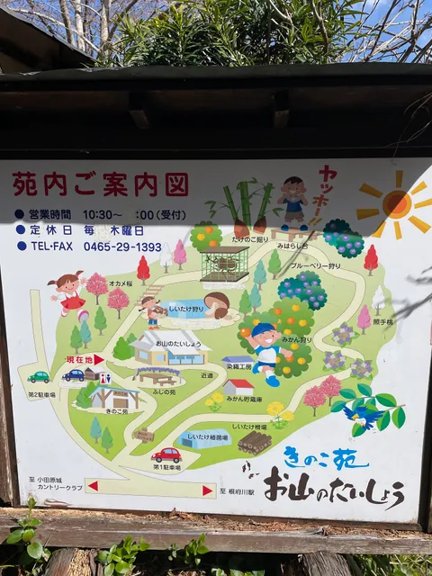 Mushroom Garden Oyama no Taisho