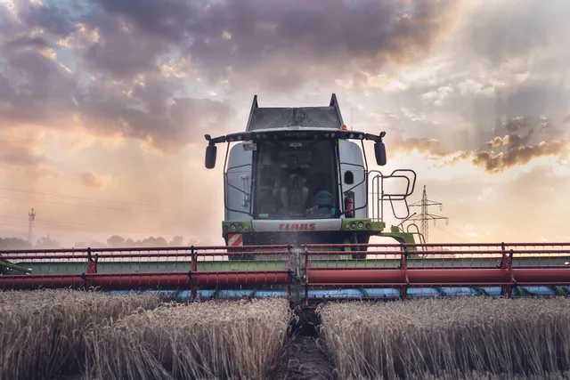 Domäne Waldeck | Schwalenstöcker