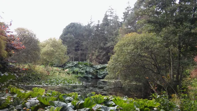 photo-2