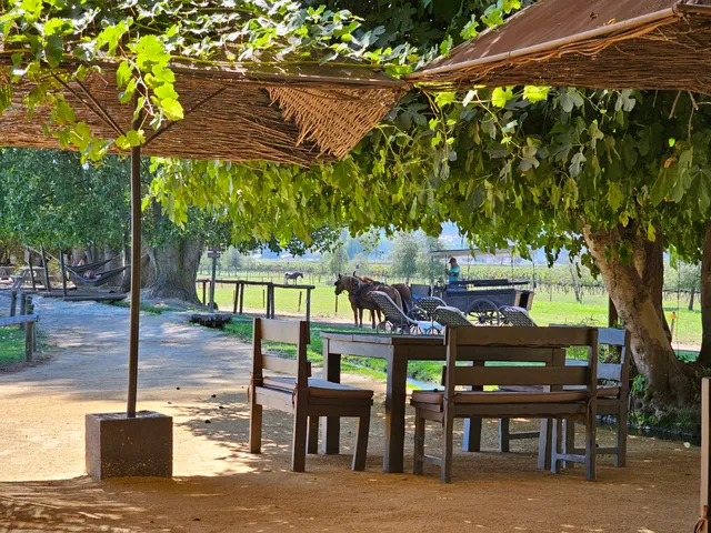 Rayuela Wine & Grill, viña viu manent