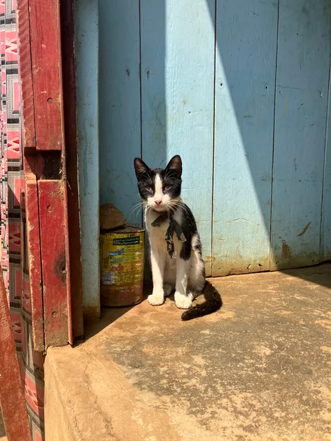 Restaurant next to Kizomba