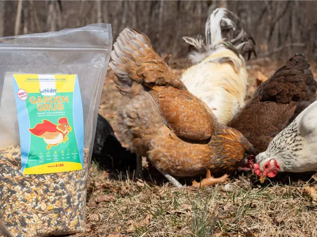 Stromberg's Chicks & Game Birds - Minnesota