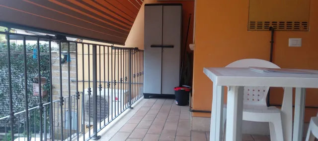 Dragona House Country Love