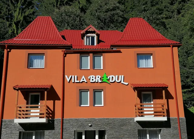 Vila Bradul - Lacul Rosu
