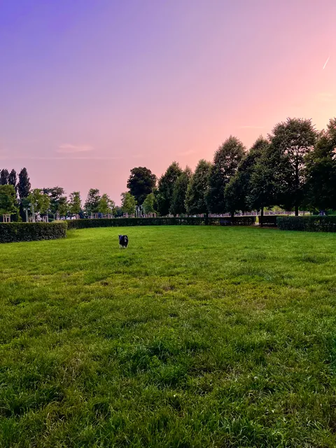 Area sgambatoio cani