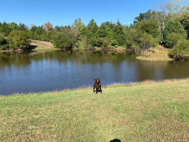 The Retreat at Shenandoah Meadows