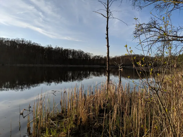 Ott Biological Preserve