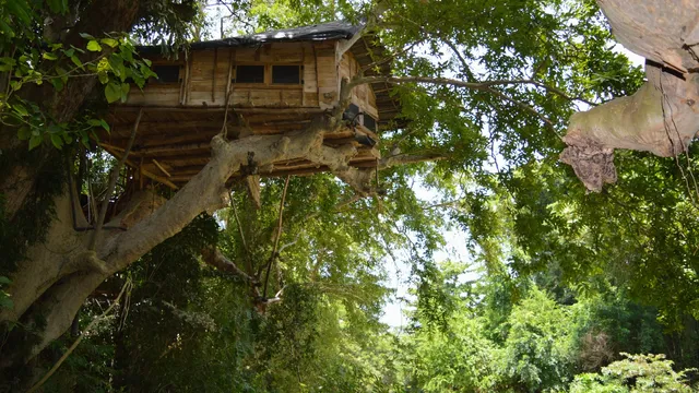 Kumbuk Tree House