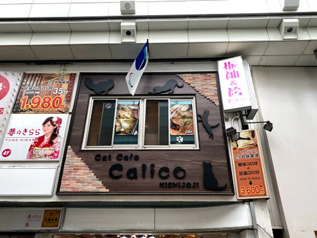Cat Cafe Calico