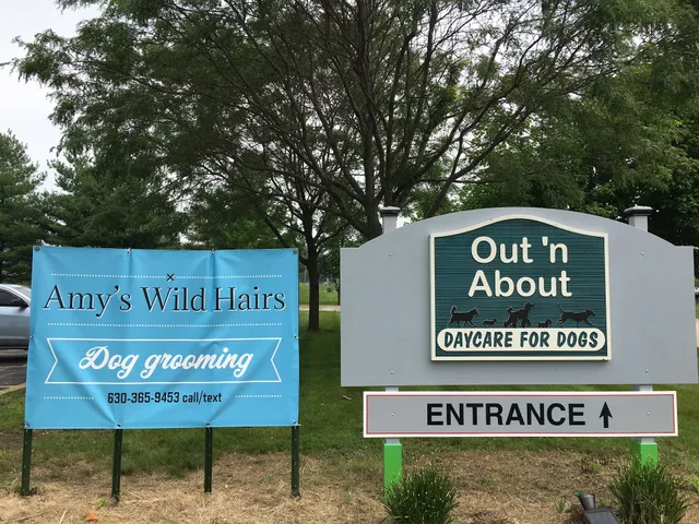 Out 'N About Dog Daycare & Boarding