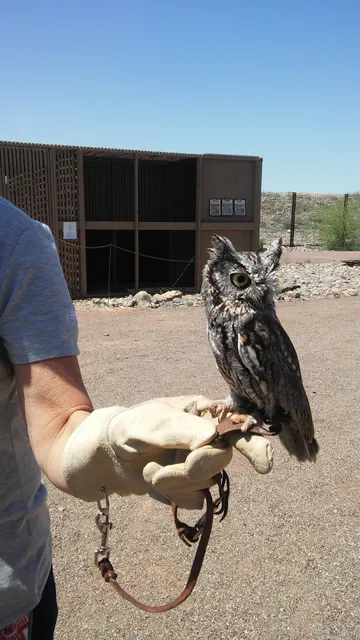 Liberty Wildlife (hospital intake from 8am-6pm daily, open to public varies - see website)