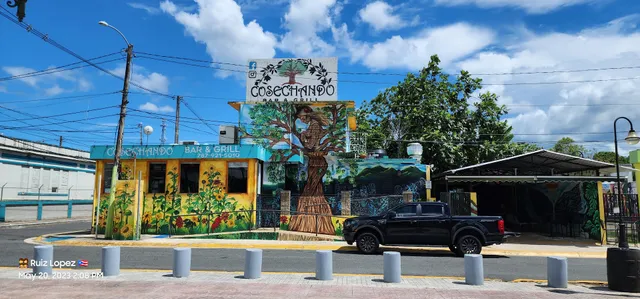 Cosechando Bar & Grill