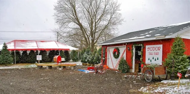 Fodor Tree Farm & Farmhouse Blooms