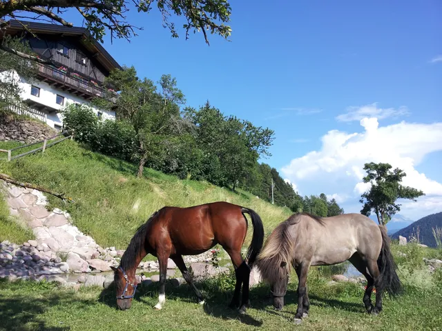 Burgerhof Bauernhof Agriturismo