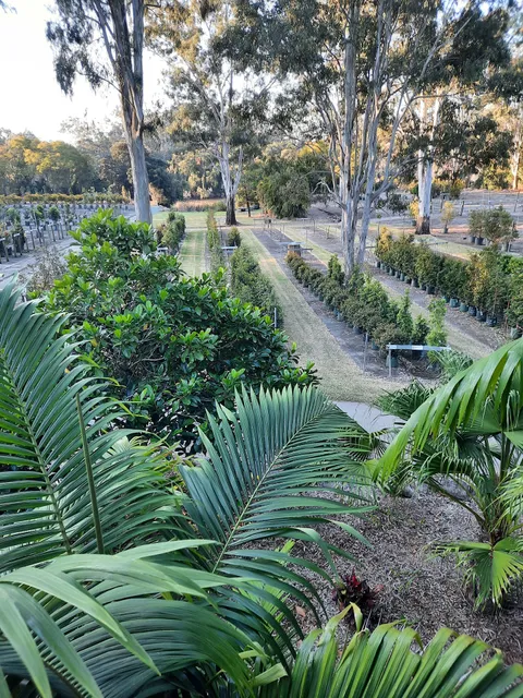 Logan River Tree Farm