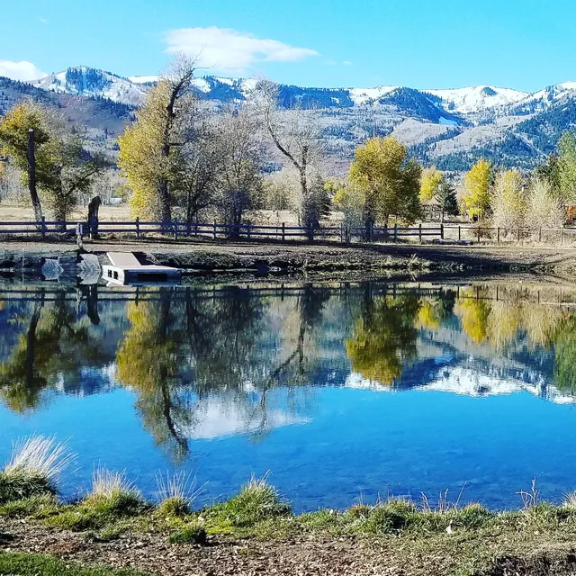Willow Creek Dog Park