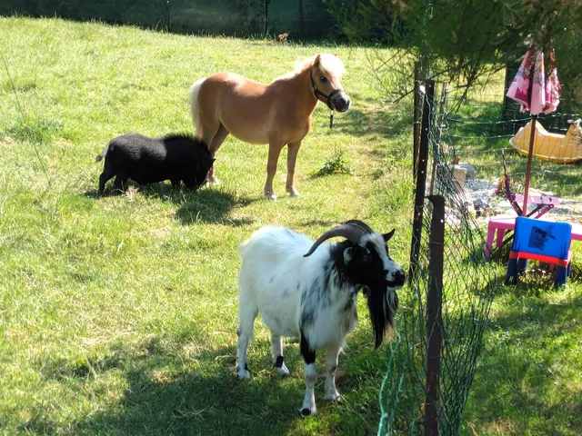 Aux Ateliers de la Fermette