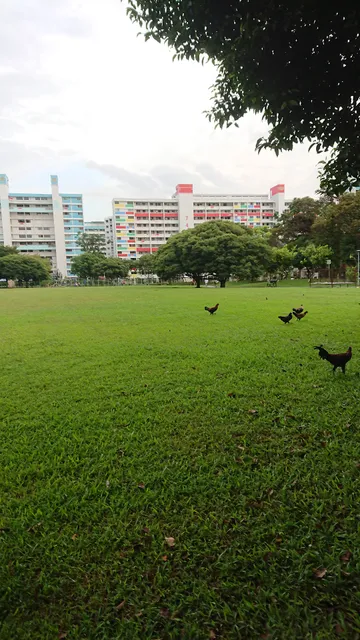Nee Soon Central Community Park