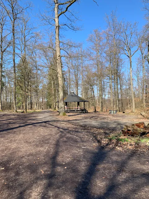 Grillplatz Vier Eichen