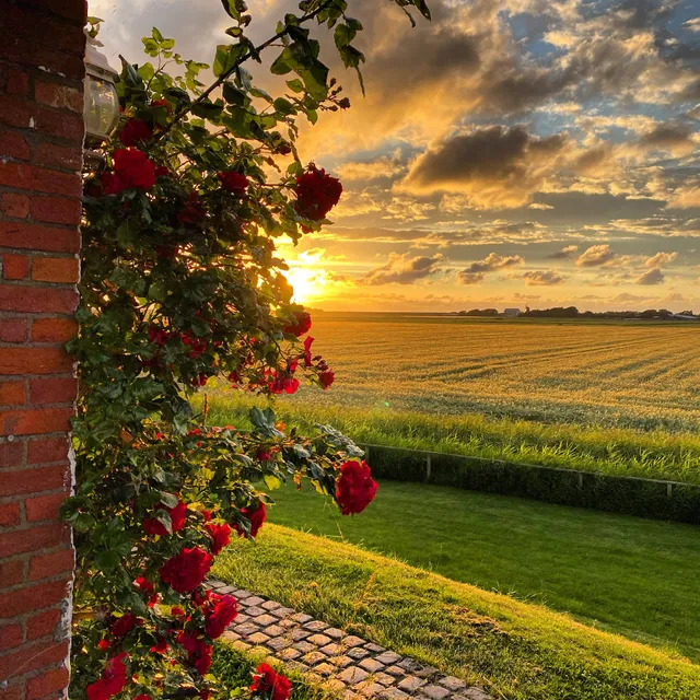 The historical Silberhof of 1856 - Apartments