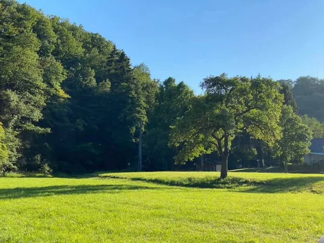 Ferienwohnung Ruridylle