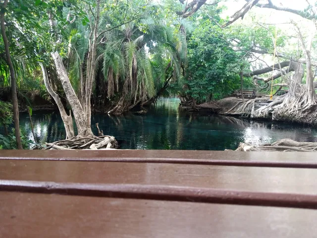 Chemka hot spring Tanzania