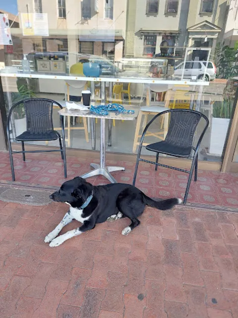 French Hot Bread Bakery