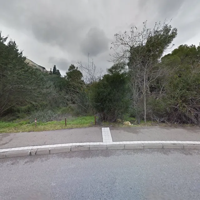 פיצה פירנצה