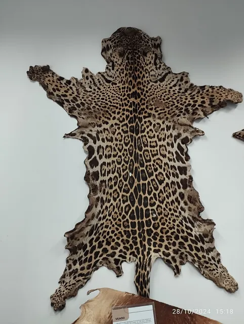 Museu do INSTITUTO MÉDICO LEGAL