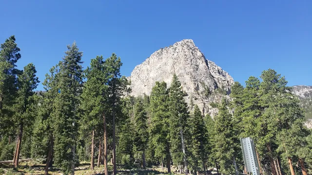 South Loop Trailhead
