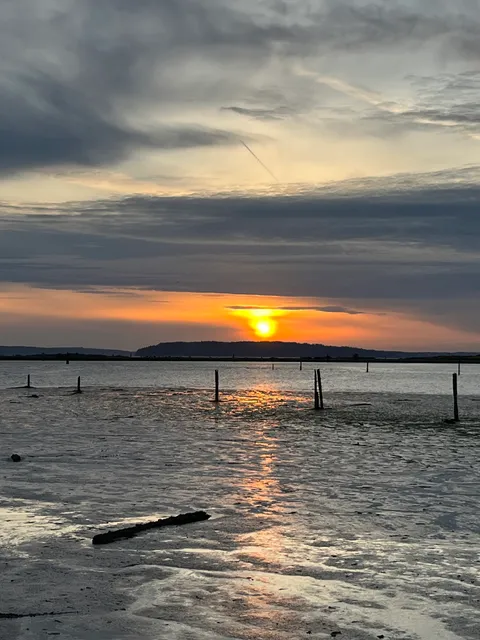 Port Gardner Bay South View Area