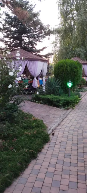 photo-1