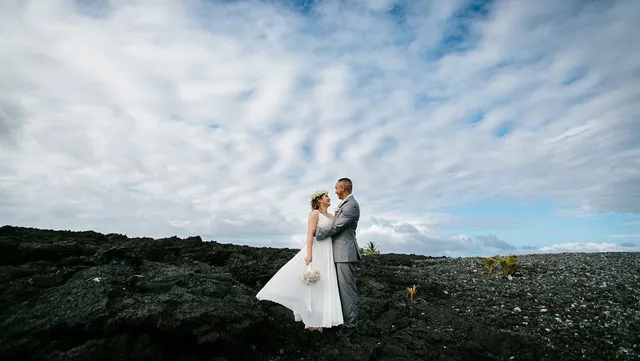 Tracey Lyn Photography