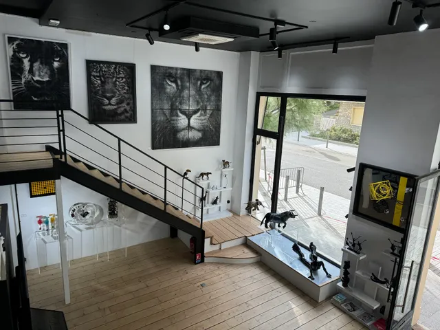 Prestaart Gallery Biarritz